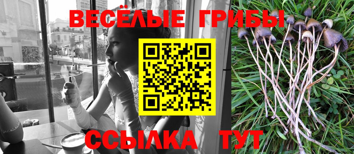 МЕФ кристаллы  Каннабис  COCAIN  Гашиш  Россошь  Вход с VPN  MDMA 