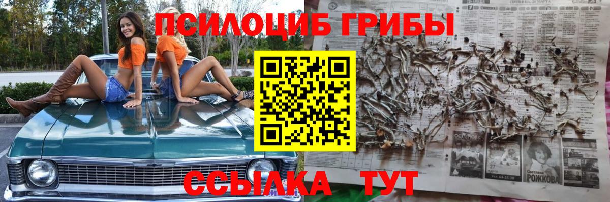 Россошь  Псилоцибиновые грибы мицелий  Вход с VPN 